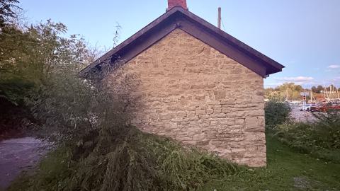 October 8, 2025 - IMG_7666.jpg