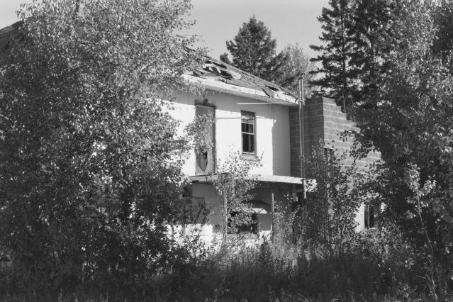 south side of building, overgrown