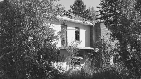 south side of building, overgrown