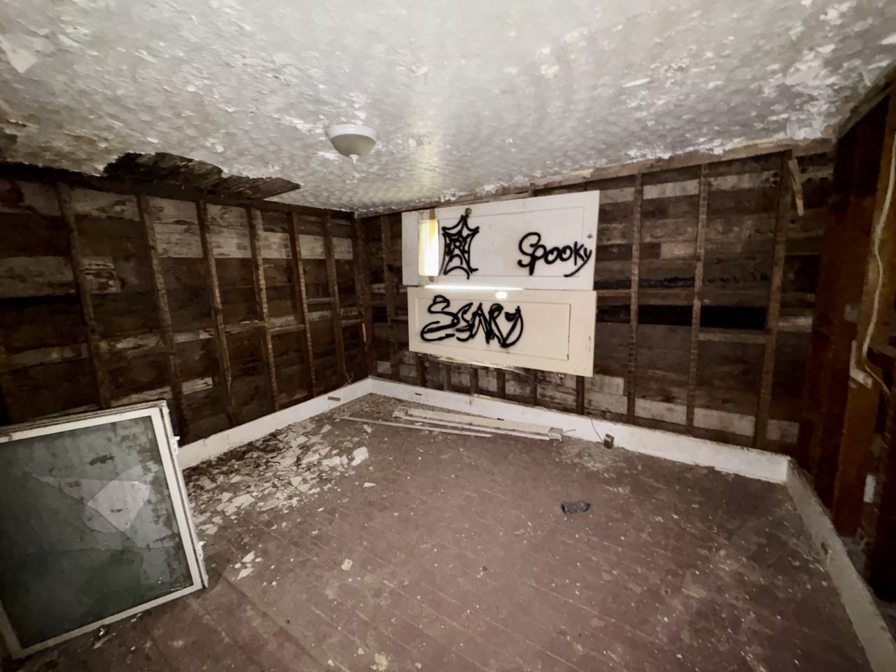 October 13, 2025 - IMG_8068.jpg