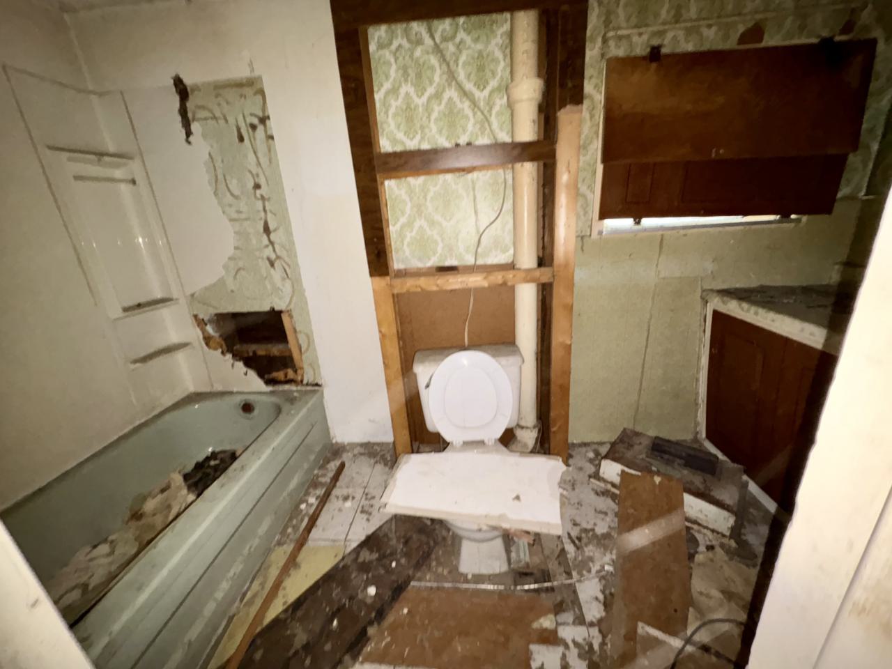 October 13, 2025 - IMG_8071.jpg