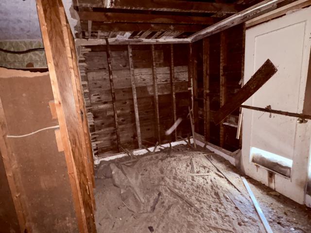 October 13, 2025 - IMG_8076.jpg