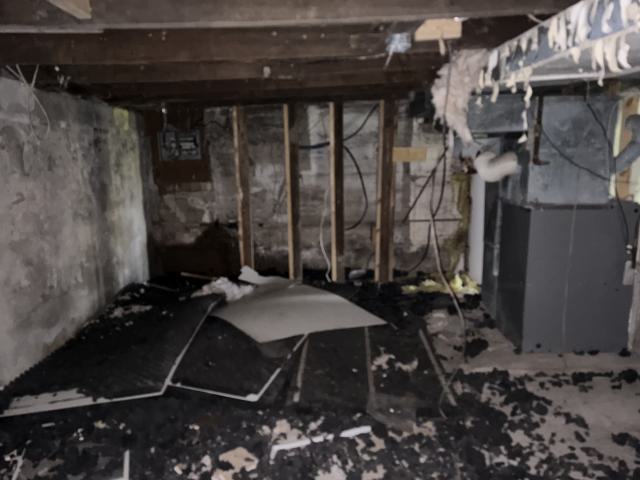 October 13, 2025 - IMG_8081.jpg