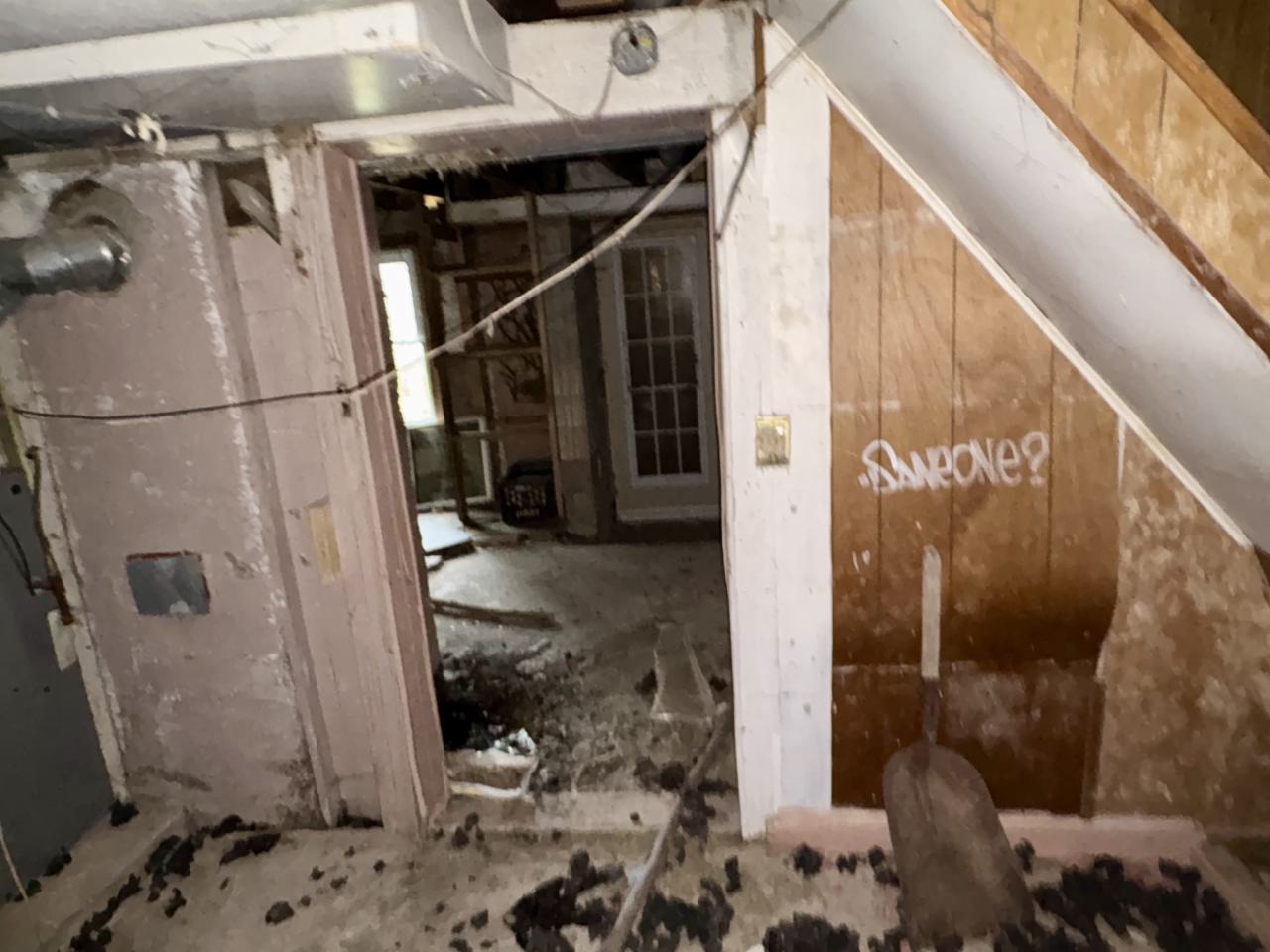 October 13, 2025 - IMG_8084.jpg