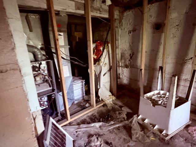 October 13, 2025 - IMG_8088.jpg