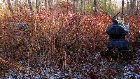 Angel Child - Niagara Falls, Ontario