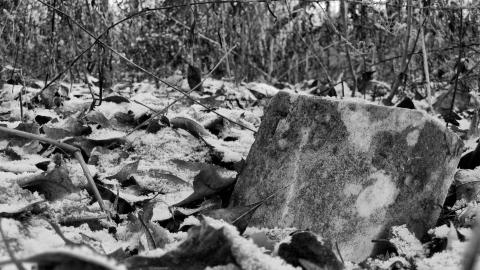 Angel Child - 010 - IMG_0767d3.JPG