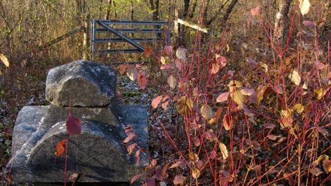 Angel Child - 011 - IMG_0802b.JPG