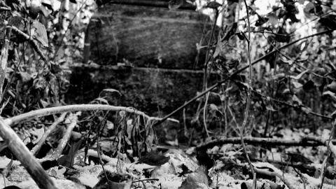 Angel Child - IMG_0755b.JPG