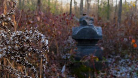 Angel Child - IMG_0761b.JPG