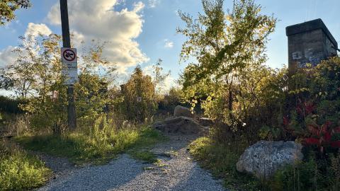 October 21, 2025 - IMG_8434.jpg