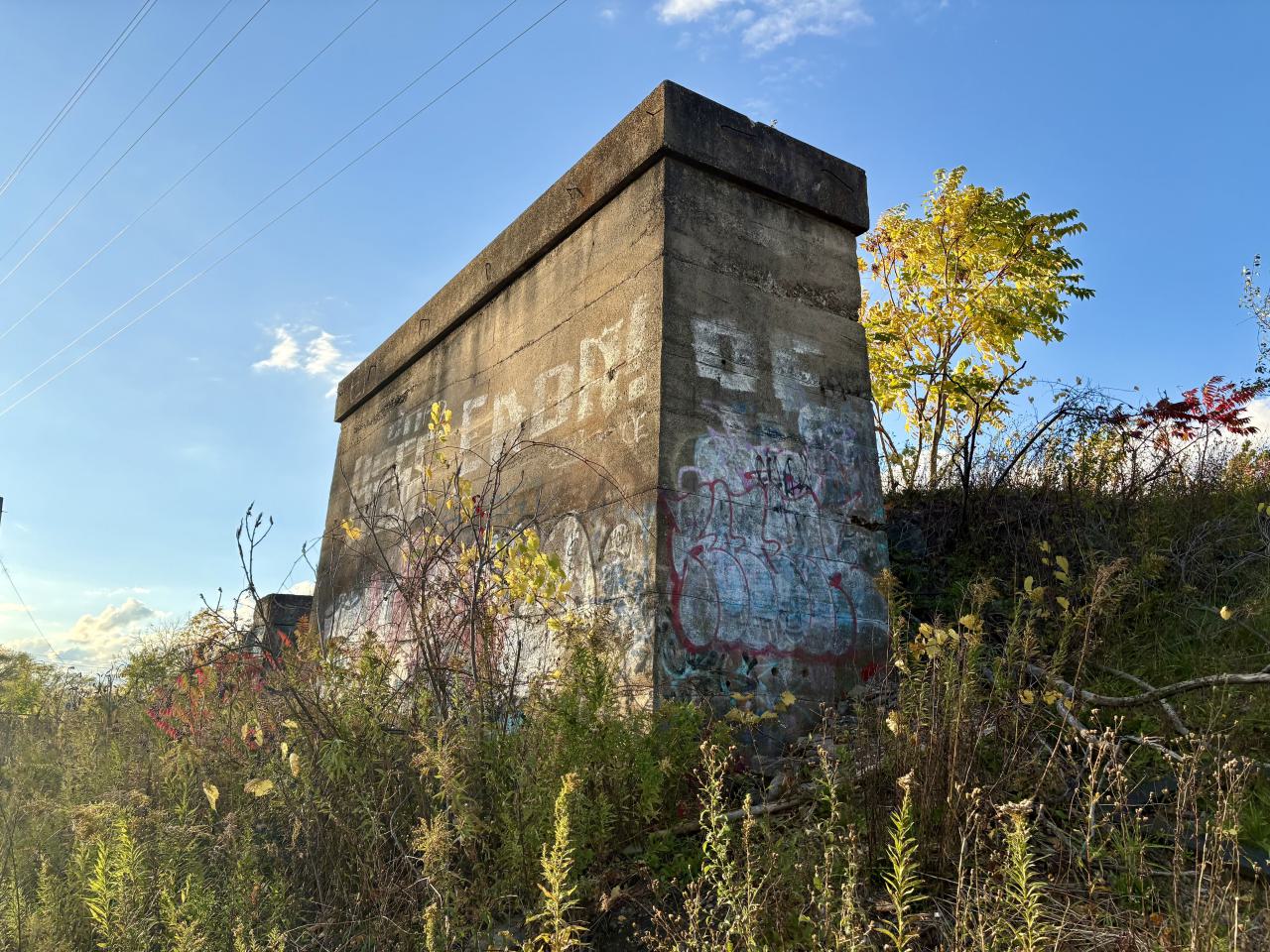 October 21, 2025 - IMG_8435.jpg