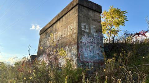 Photo from October 21, 2025