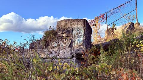 Photo from October 21, 2025