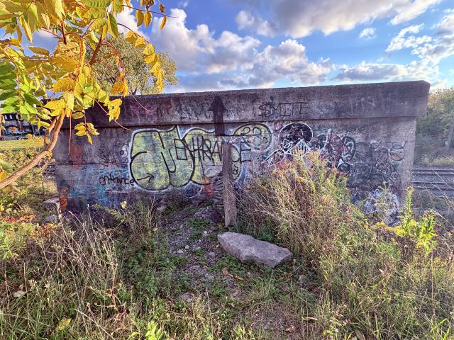October 21, 2025 - IMG_8441.jpg