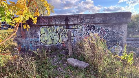 October 21, 2025 - IMG_8441.jpg