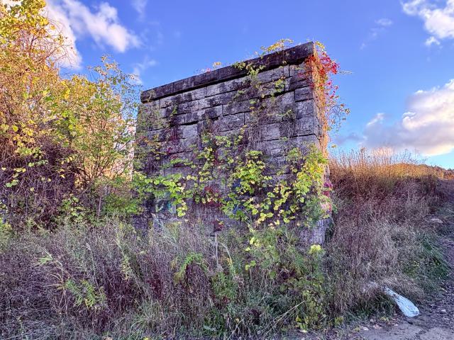 October 21, 2025 - IMG_8451.jpg