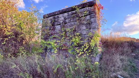 October 21, 2025 - IMG_8451.jpg