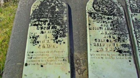 R.I.P. - Browntown-Pioneer-Cemetery7.jpg