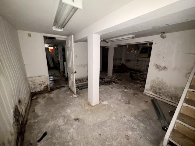 October 22, 2025 - IMG_8530.jpg