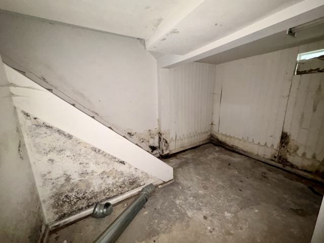 October 22, 2025 - IMG_8531.jpg