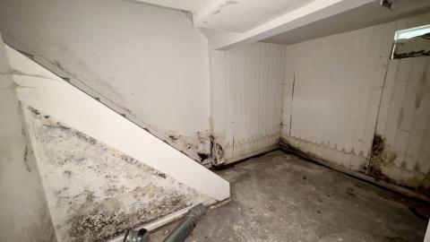 October 22, 2025 - IMG_8531.jpg