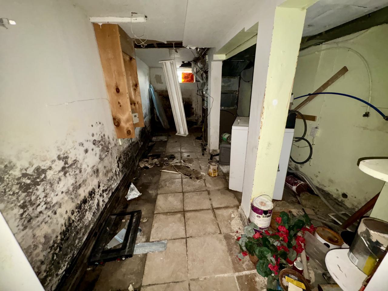 October 22, 2025 - IMG_8532.jpg