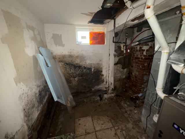 October 22, 2025 - IMG_8535.jpg