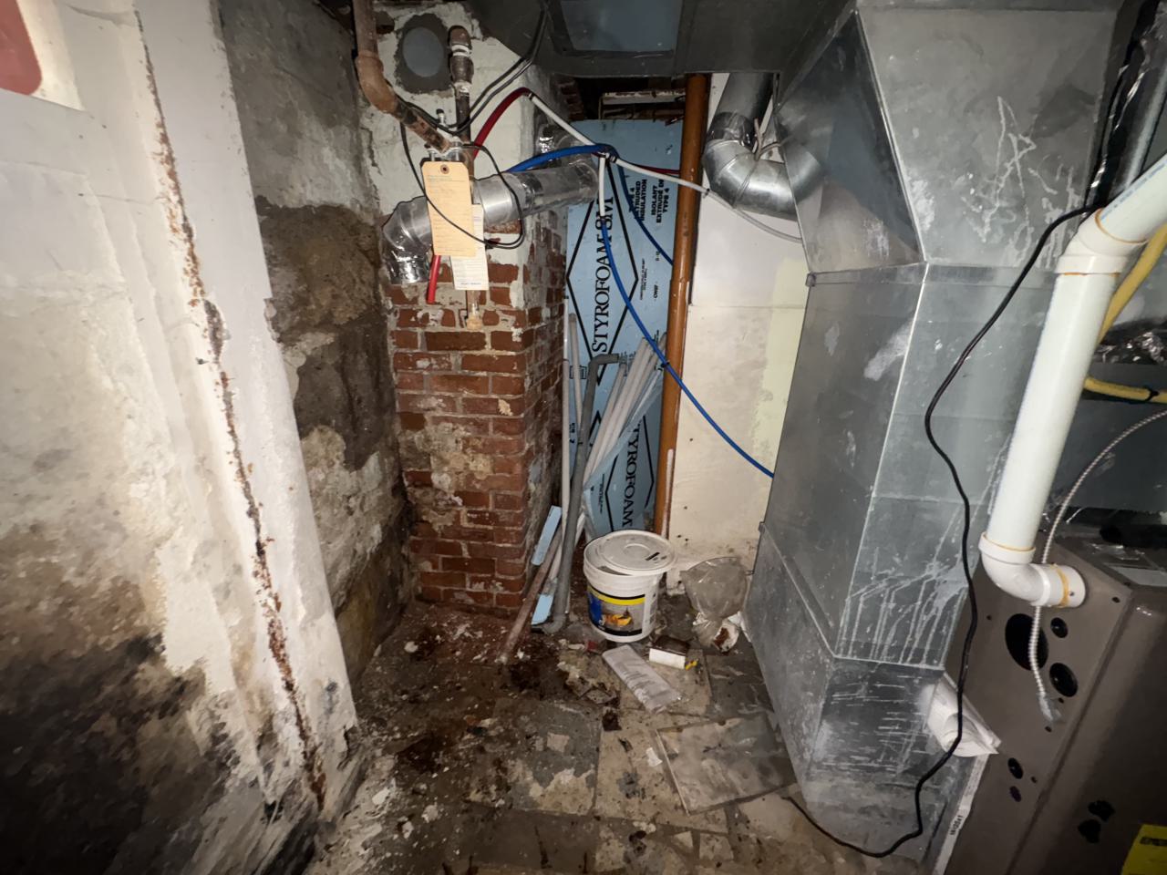 October 22, 2025 - IMG_8536.jpg