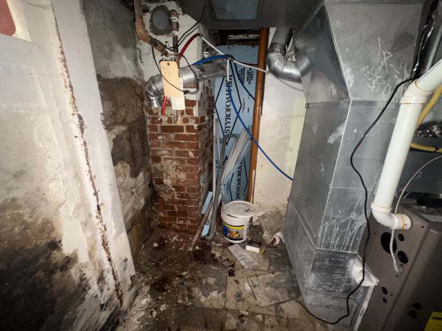 October 22, 2025 - IMG_8536.jpg