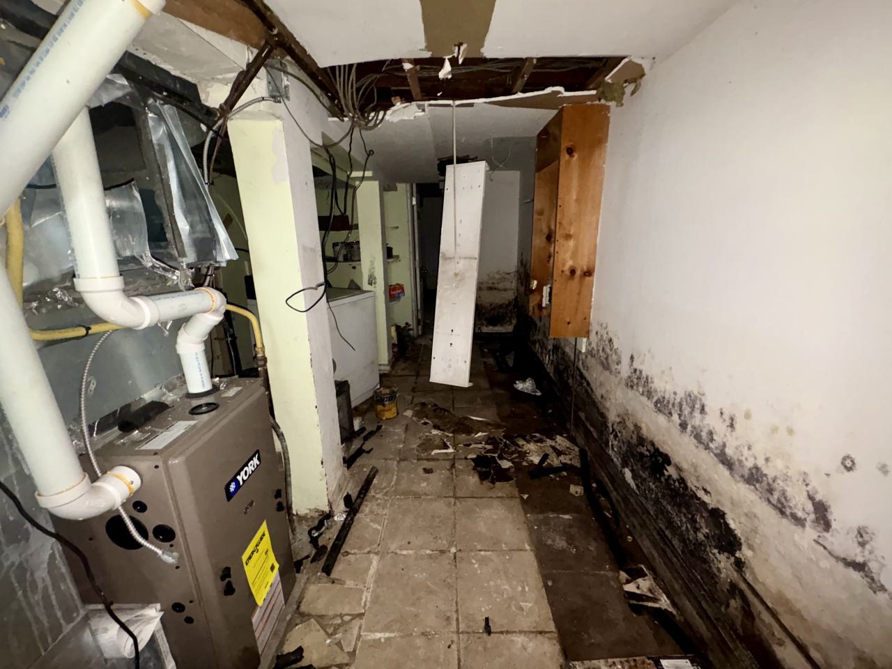 October 22, 2025 - IMG_8537.jpg