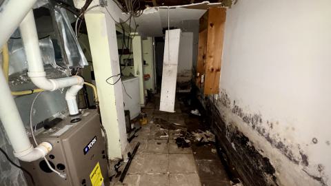 October 22, 2025 - IMG_8537.jpg