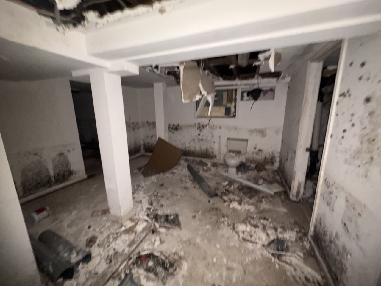 October 22, 2025 - IMG_8539.jpg