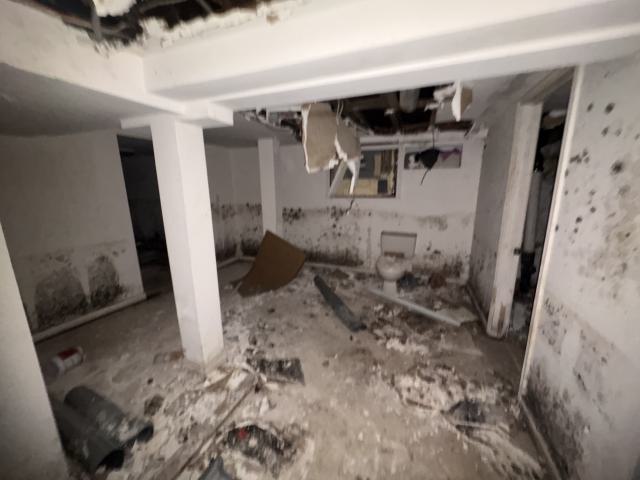 October 22, 2025 - IMG_8539.jpg