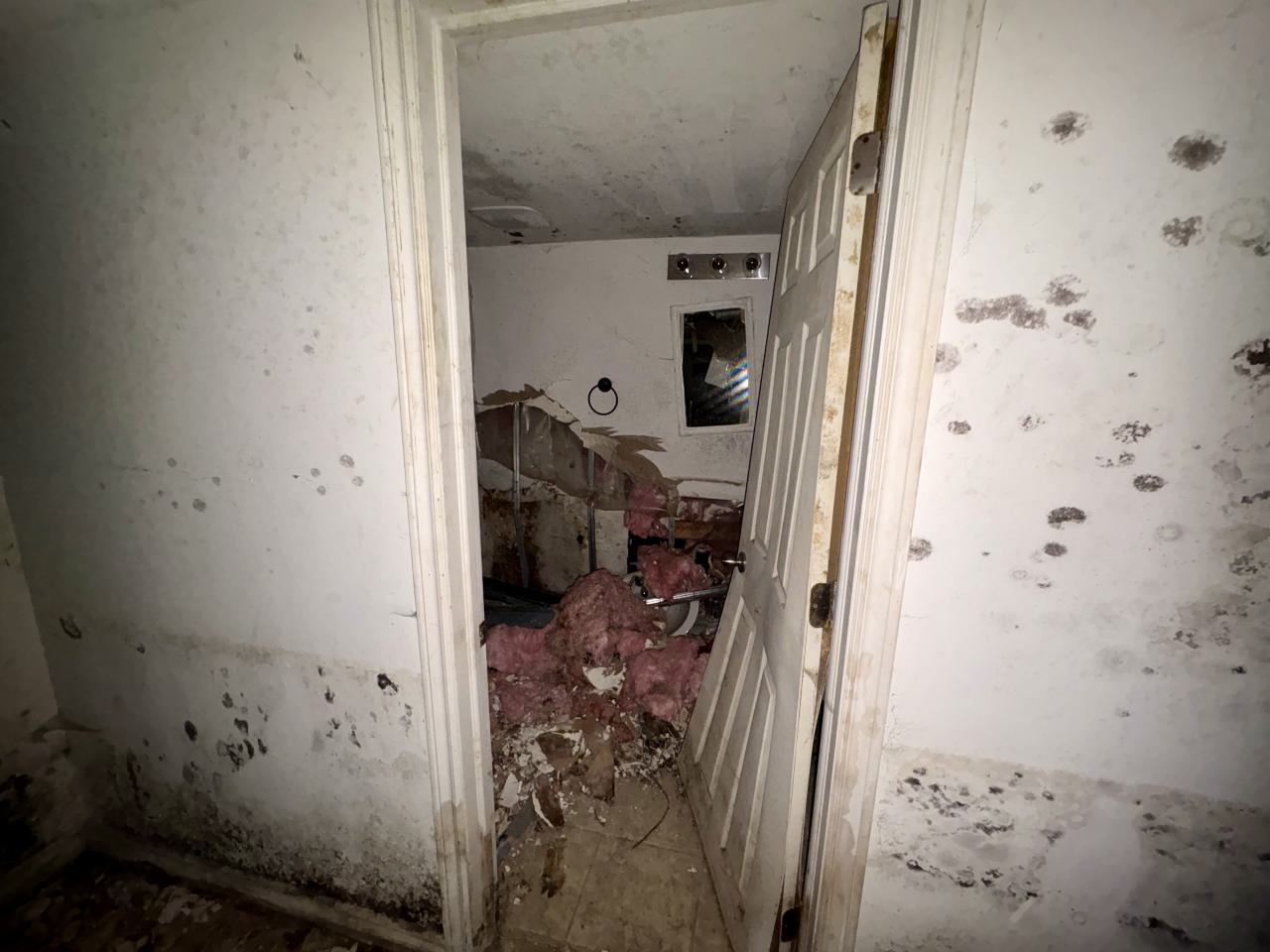 October 22, 2025 - IMG_8542.jpg