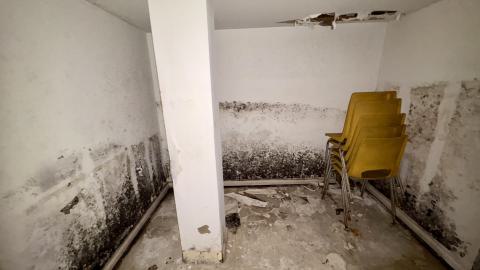 October 22, 2025 - IMG_8549.jpg