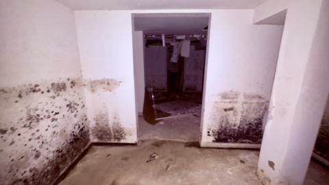 October 22, 2025 - IMG_8551.jpg