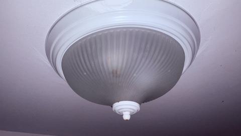 October 22, 2025 - IMG_8553.jpg