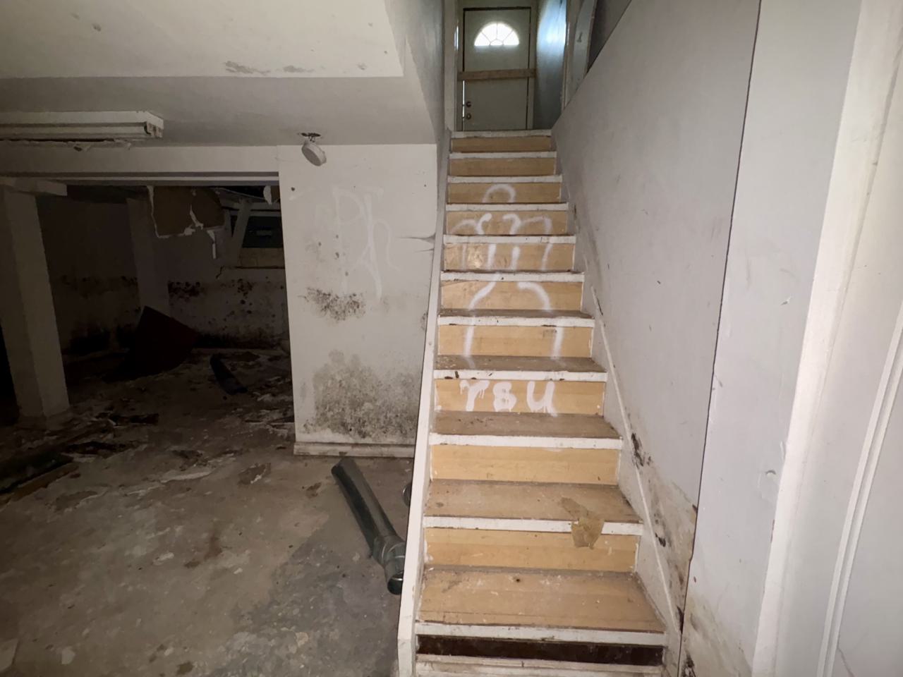 October 22, 2025 - IMG_8555.jpg