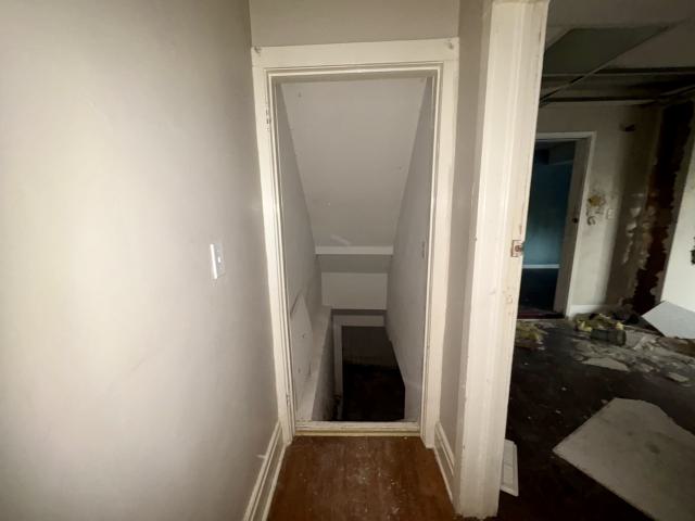 October 22, 2025 - IMG_8557.jpg