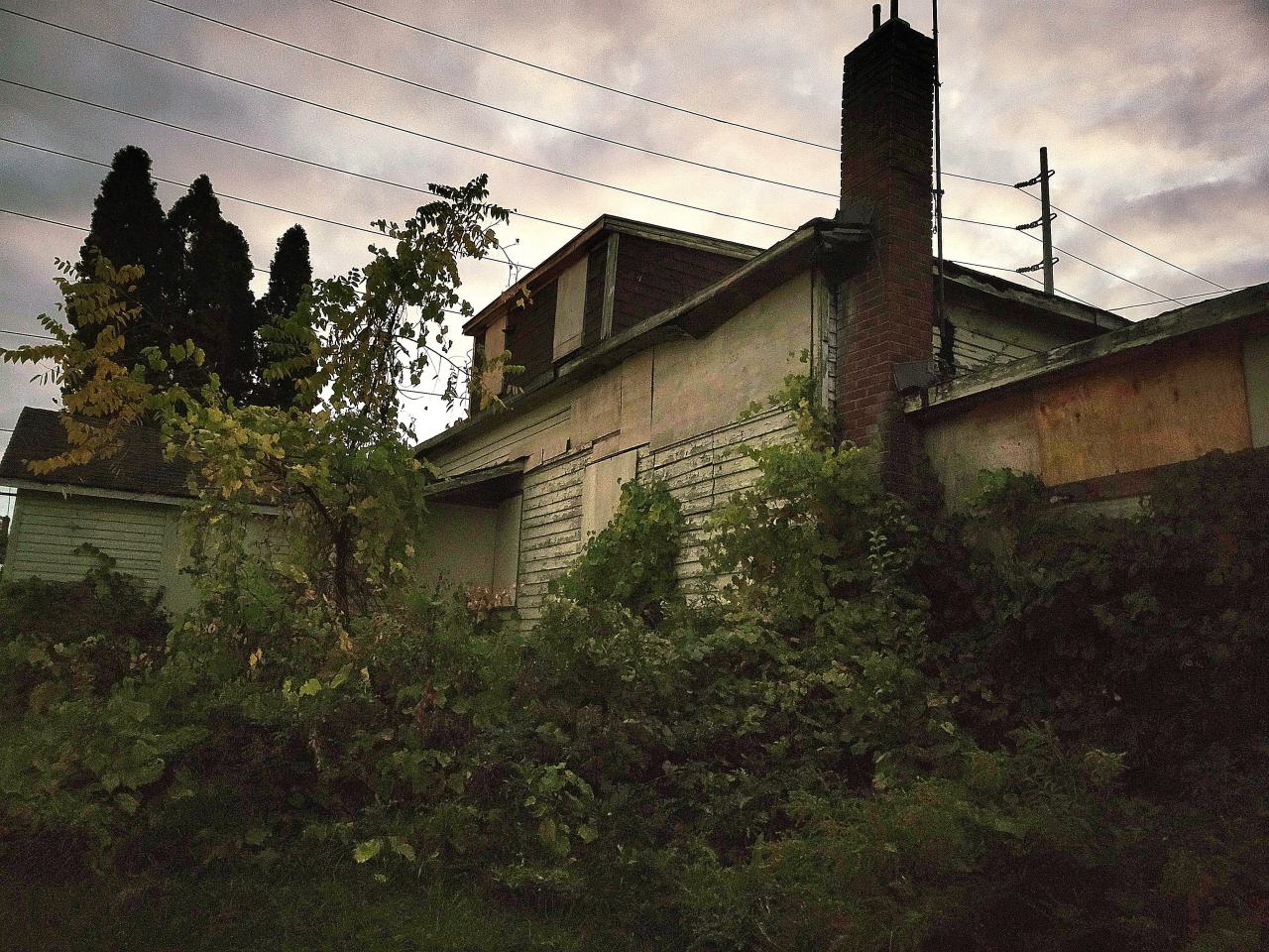 Heron Dandie House - 20251013_190501.jpg