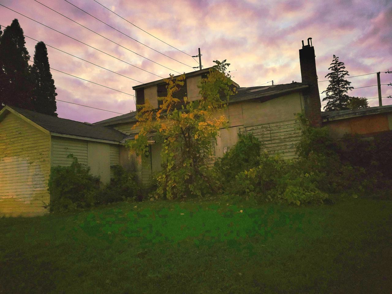 Heron Dandie House - 20251013_190449.jpg