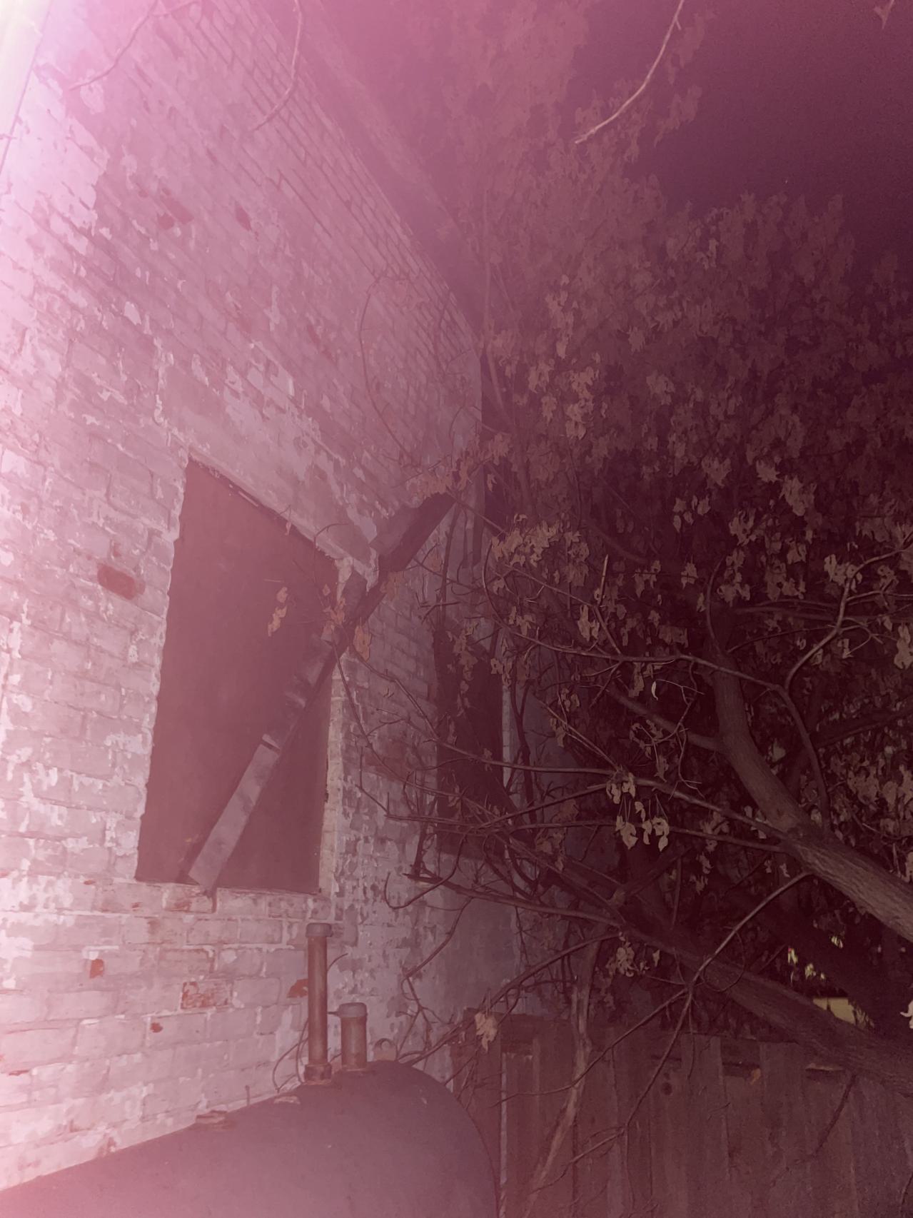 Boarded Up Tight - IMG_7464.jpeg