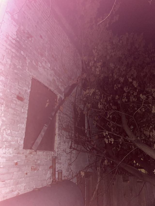 Boarded Up Tight - IMG_7464.jpeg