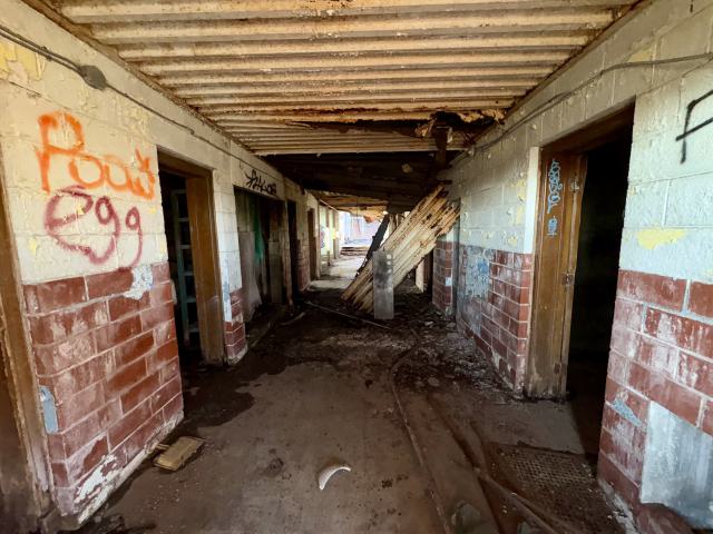 November 2, 2025 - IMG_8840.jpg