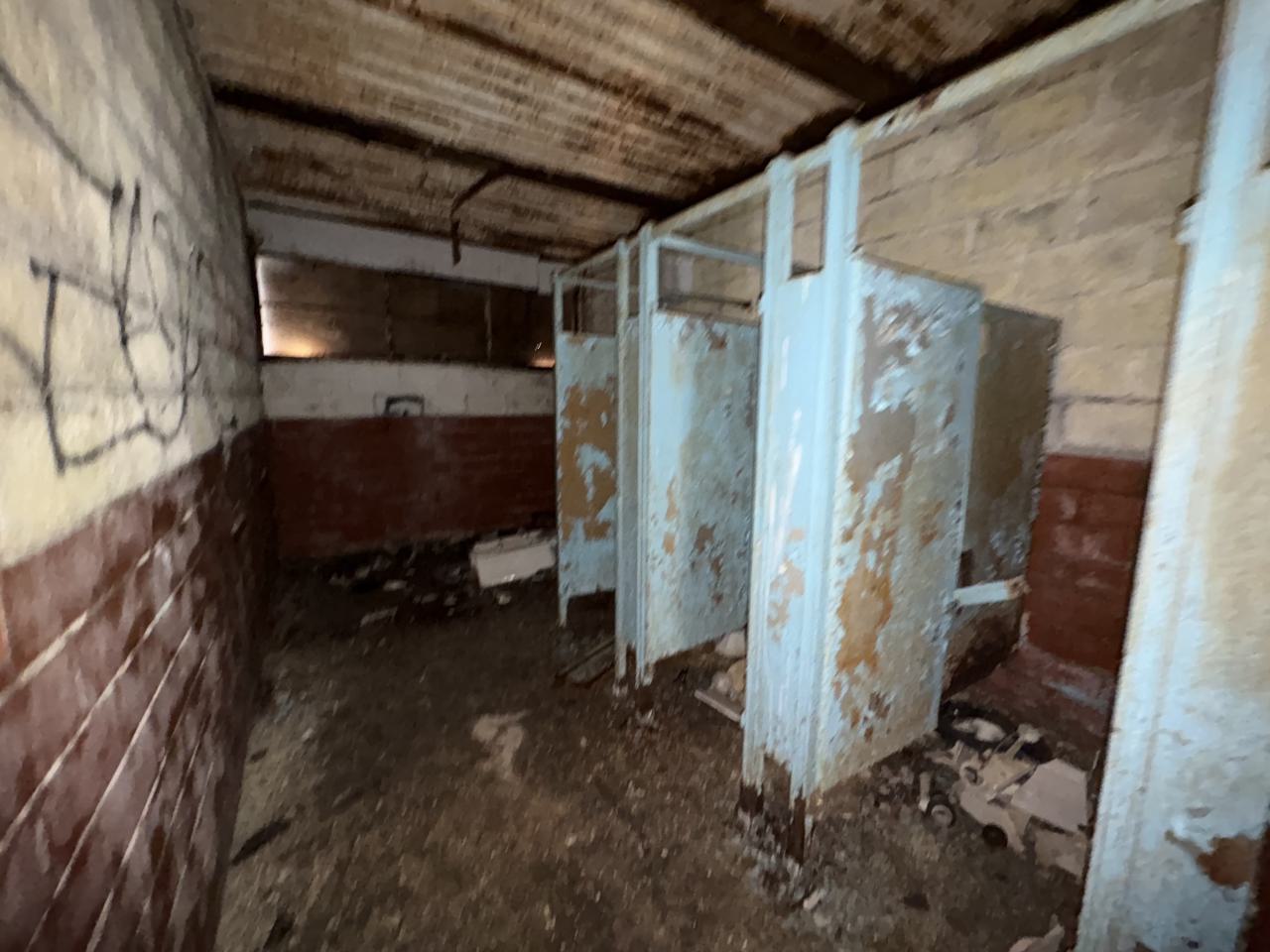 November 2, 2025 - IMG_8841.jpg