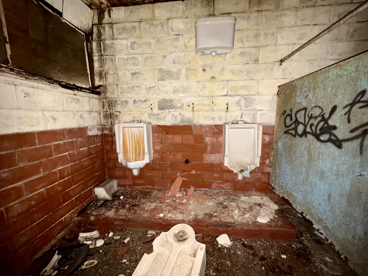 November 2, 2025 - IMG_8842.jpg