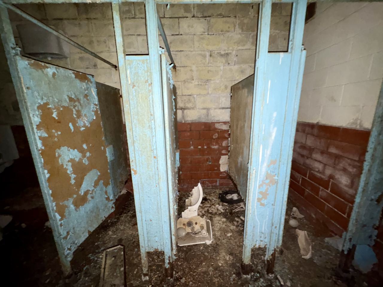 November 2, 2025 - IMG_8843.jpg