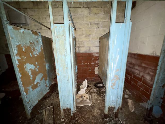 November 2, 2025 - IMG_8843.jpg