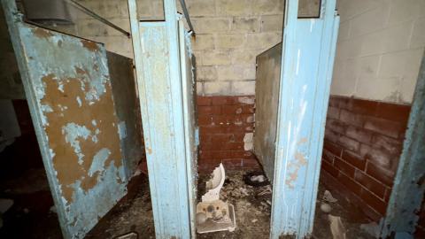 Photo from November 2, 2025